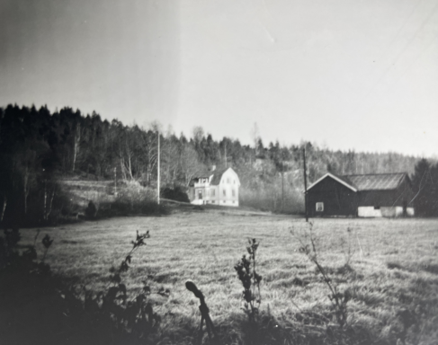 Chinchillafarmen Rösena