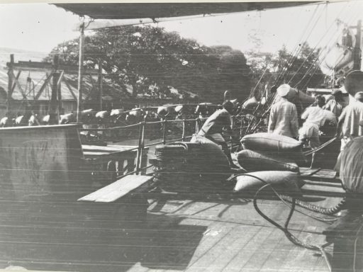 Balobas bär ombord säckar