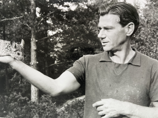 Chinchillafarmare Lorentz